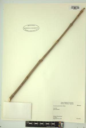 99022-Service File.jpg