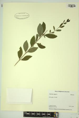 99024-Service File.jpg