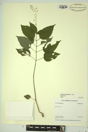 99032-Service File.jpg