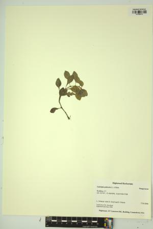 99035-Service File.jpg