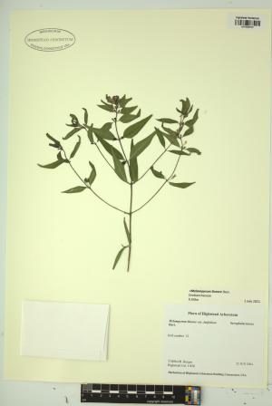 99050-Service File.jpg