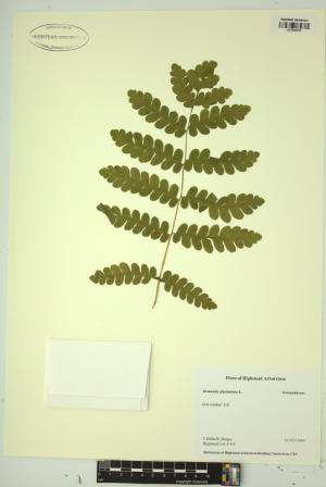 99052-Service File.jpg