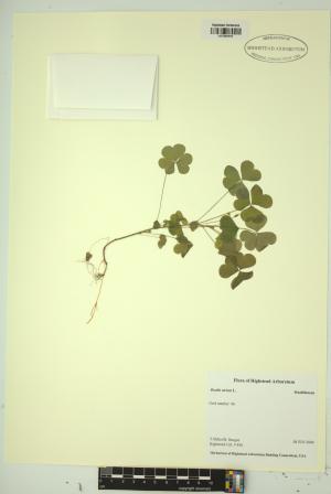 99055-Service File.jpg