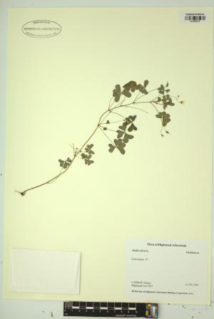 99056-Service File.jpg