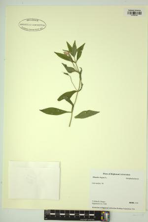 99060-Service File.jpg