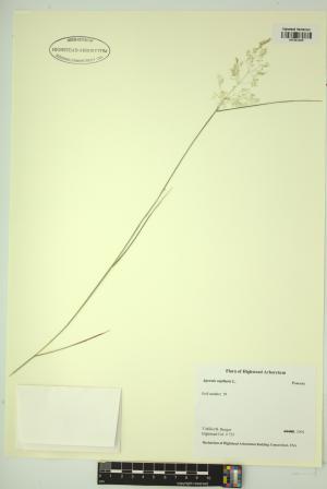 99080-Service File.jpg
