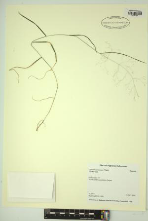 99083-Service File.jpg