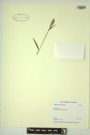 99084-Service File.jpg