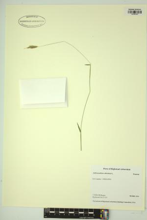 99087-Service File.jpg