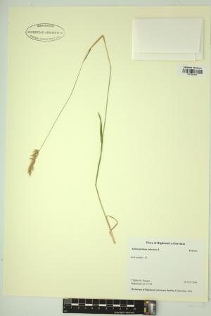 99088-Service File.jpg