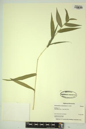 99103-Service File.jpg