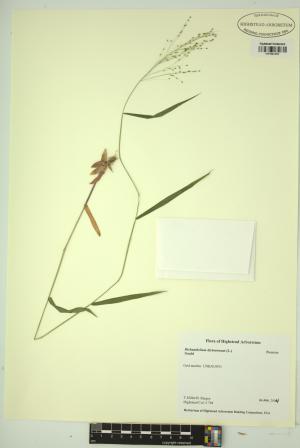 99108-Service File.jpg