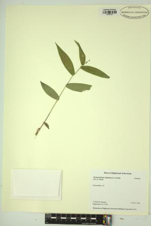 99111-Service File.jpg
