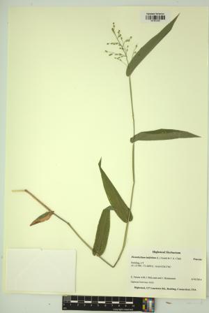 99112-Service File.jpg