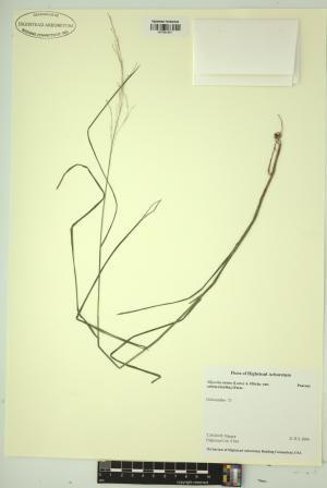99121-Service File.jpg