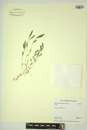 99130-Service File.jpg