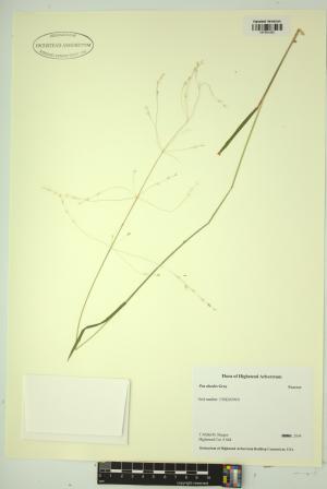 99136-Service File.jpg