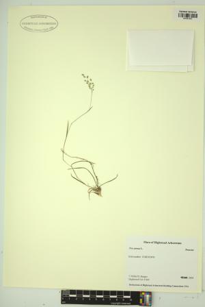 99137-Service File.jpg