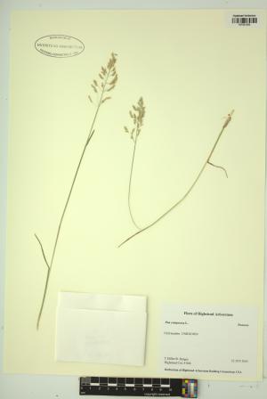 99140-Service File.jpg