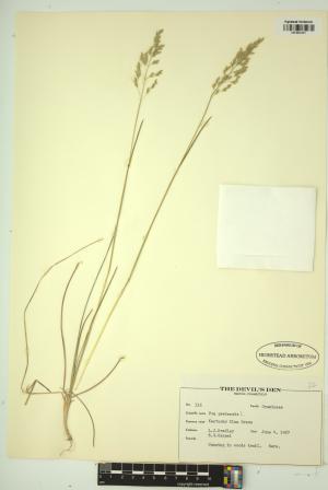 99145-Service File.jpg