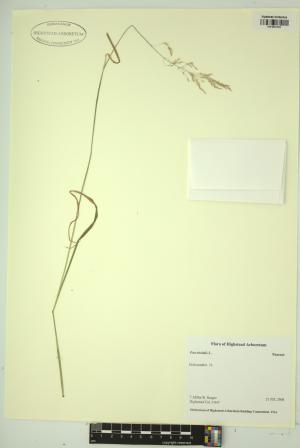 99146-Service File.jpg