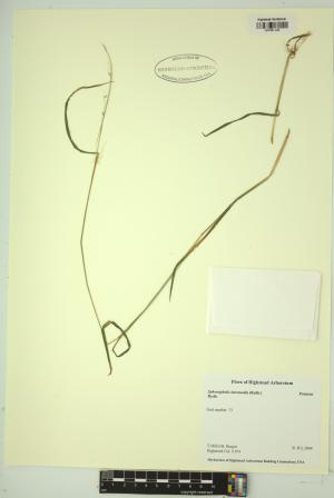 99154-Service File.jpg