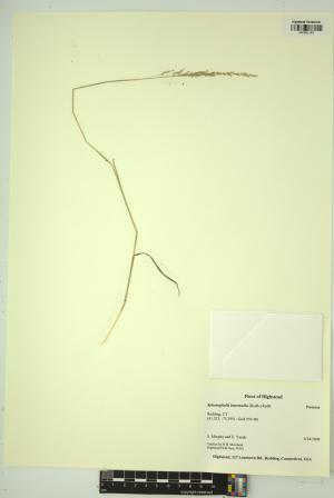 99155-Service File.jpg