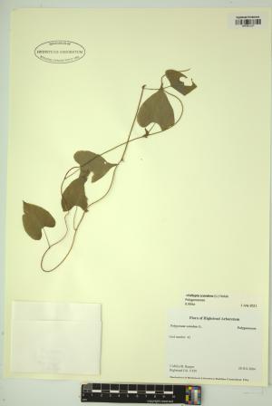 99159-Service File.jpg