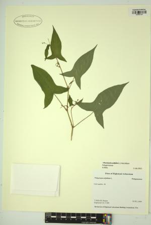 99161-Service File.jpg