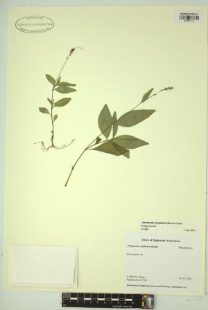 99162-Service File.jpg