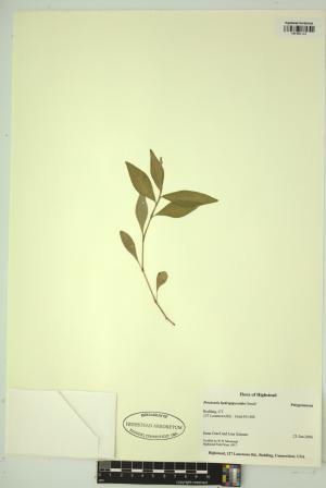 99164-Service File.jpg