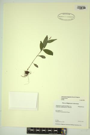 99165-Service File.jpg