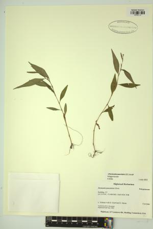 99166-Service File.jpg
