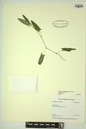 99167-Service File.jpg