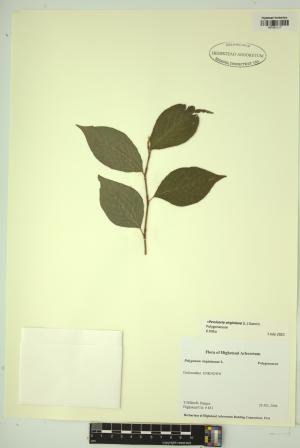 99169-Service File.jpg