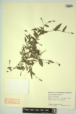99171-Service File.jpg