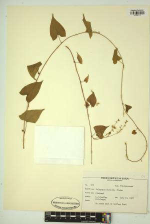 99173-Service File.jpg