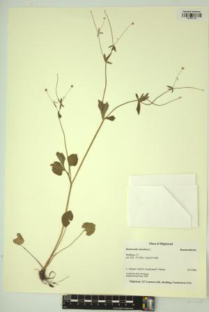 99192-Service File.jpg