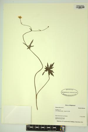 99195-Service File.jpg