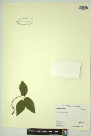 99211-Service File.jpg