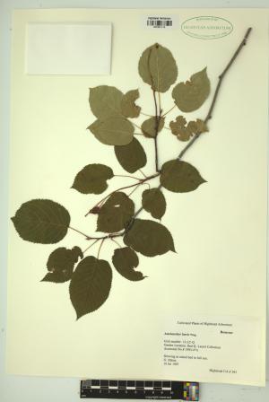 99221-Service File.jpg