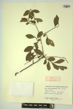 99233-Service File.jpg