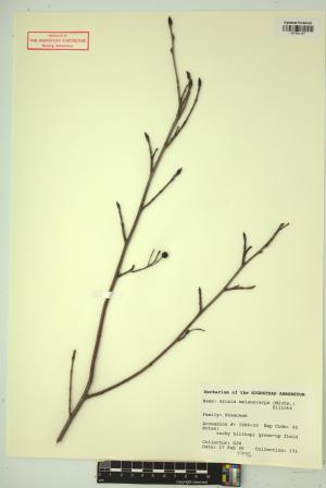 99234-Service File.jpg