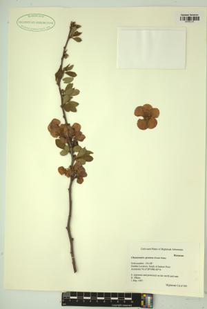 99237-Service File.jpg