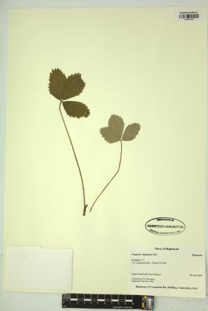 99248-Service File.jpg