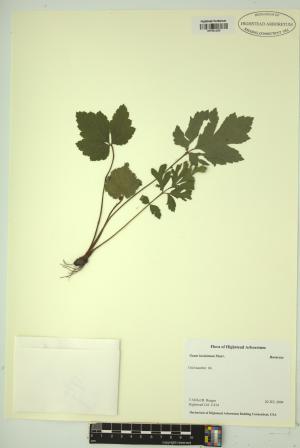 99251-Service File.jpg