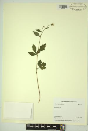 99252-Service File.jpg