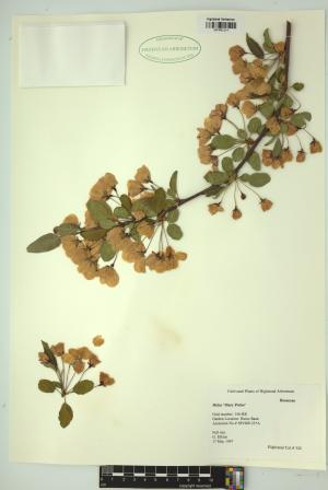 99260-Service File.jpg