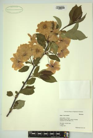 99262-Service File.jpg