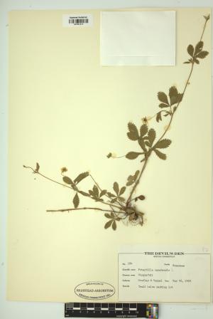 99265-Service File.jpg